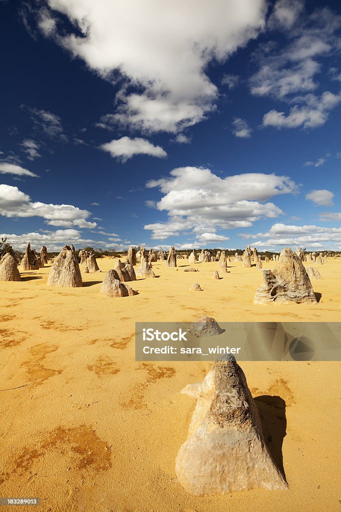 O Deserto dos Pináculos em Parque nacional de Nambung, Austrália Ocidental - Royalty-free Deserto dos Pináculos Foto de stock