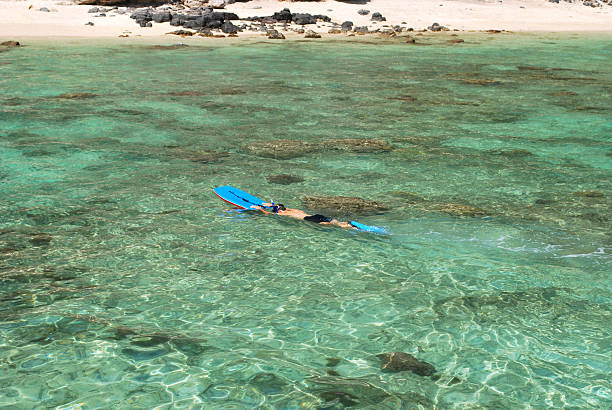 istock Young Man Snorkeling at Crystal Clear Waters 183289234