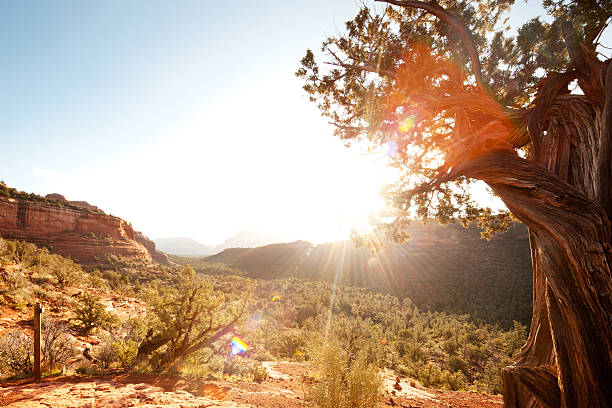 пейзаж пейзаж в пустыне горы и красные скалы с солнечный свет - sun lens flare sedona desert стоковые фото и изображения