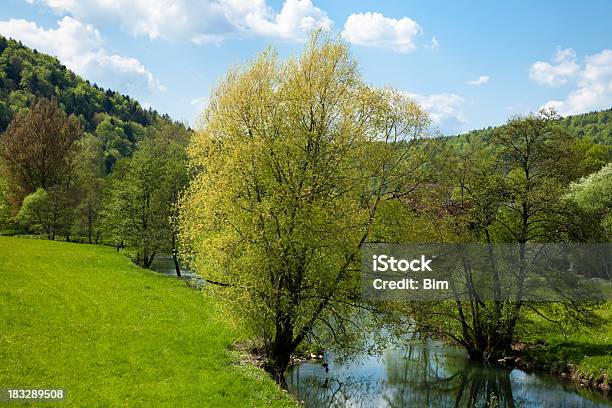 Wiosnę Krajobraz Z Rzeki I Blue Sky - zdjęcia stockowe i więcej obrazów Bez ludzi - Bez ludzi, Bezchmurne niebo, Botanika