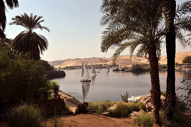 istock Nile Felucca boats 183289780