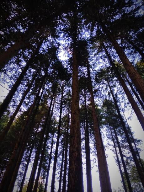 istock Mountain landscapes in changing seasons 1832904020