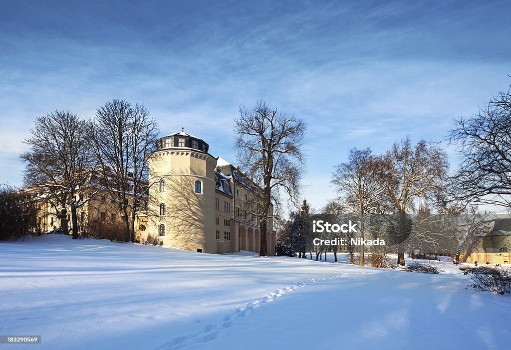 Biblioteca en Weimar, Alemania - Foto de stock de Invierno libre de derechos