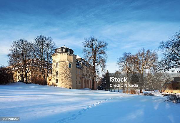 Biblioteca En Weimar Alemania Foto de stock y más banco de imágenes de Invierno - Invierno, Weimar, Castillo - Estructura de edificio