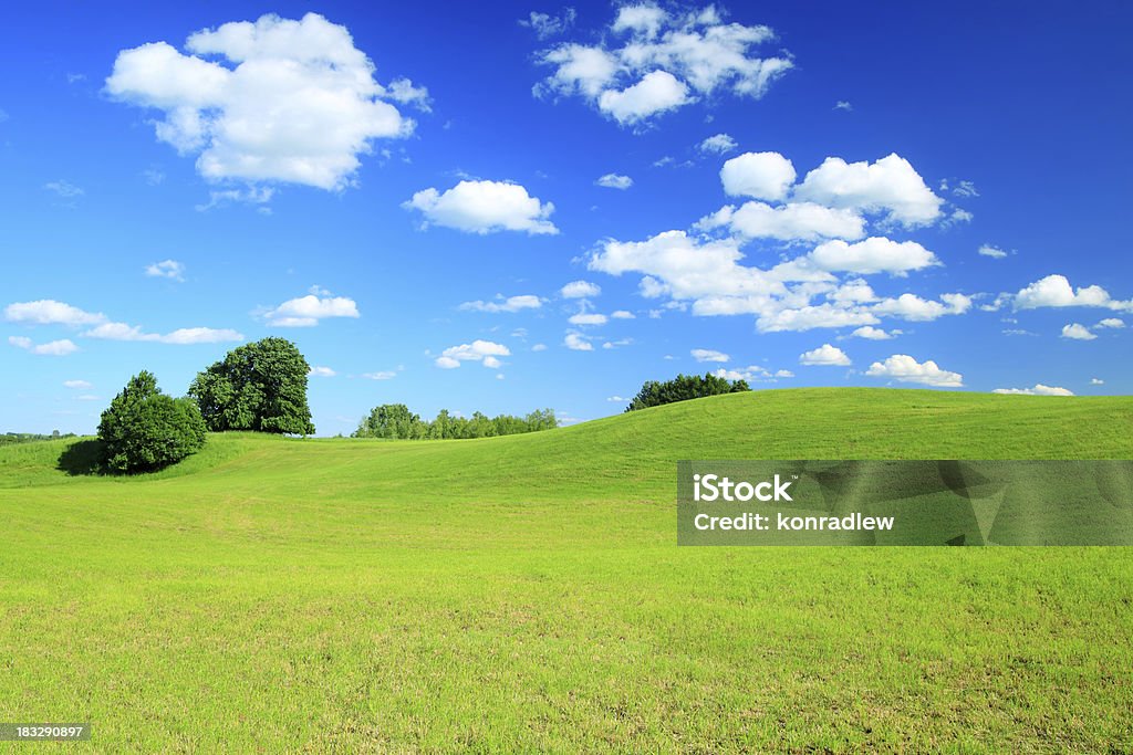 Verde paisaje de campo - Foto de stock de Colina libre de derechos