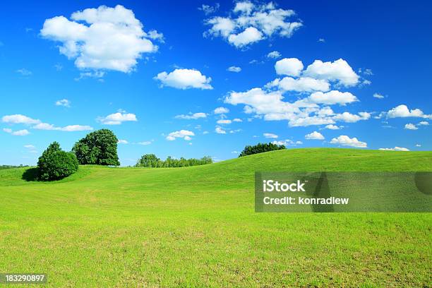 Verde Paisaje De Campo Foto de stock y más banco de imágenes de Colina - Colina, Conservación del ambiente, Verde - Color