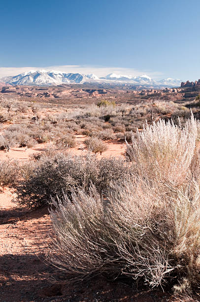 istock Desert Landscape in Arches National Park, Utah 183290960