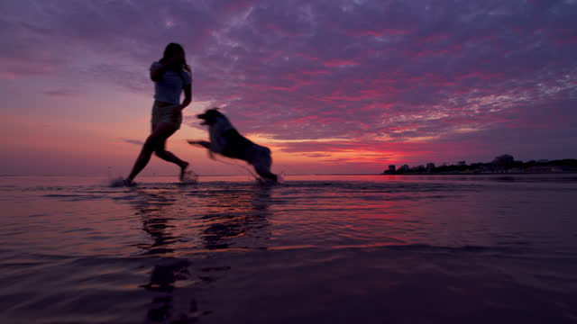 SLO MO LD Young woman running with his dog barefoot on the sandy beach at sunset