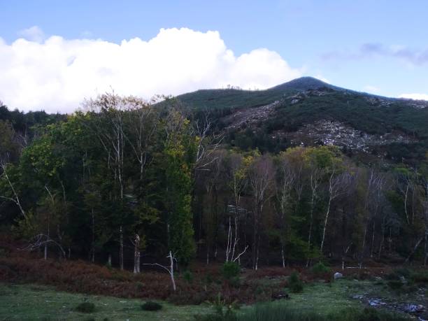 istock Mountain landscapes in changing seasons 1832910350