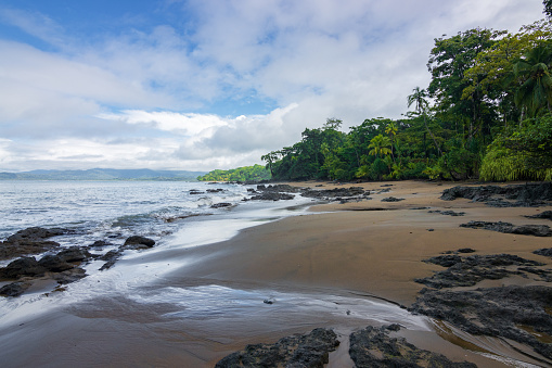 Beach and forest of Drake bay (Costa Rica)