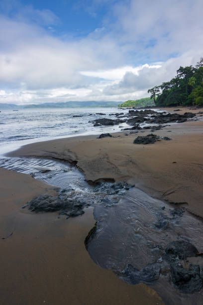 istock Beach and forest of Drake bay (Costa Rica) 1832910613