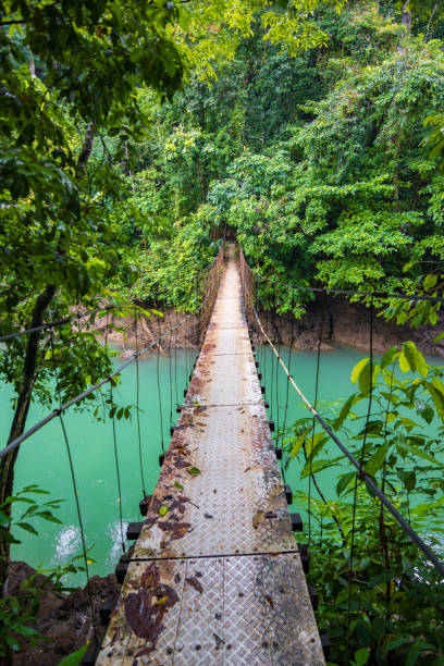 istock Beach and forest of Drake bay (Costa Rica) 1832911168