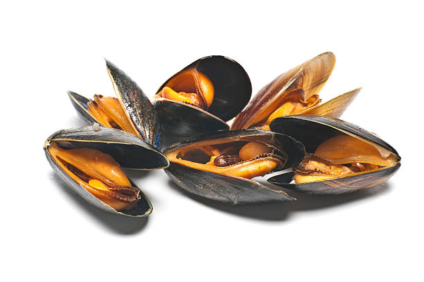 A pile of mussels on a white background