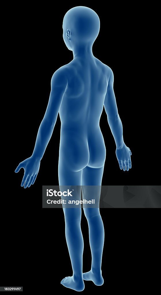 Corpo humano de uma criança durante o estudo, modelo grupo. - Royalty-free Anatomia Foto de stock