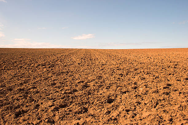 Empty muddy field of red soil stock photo