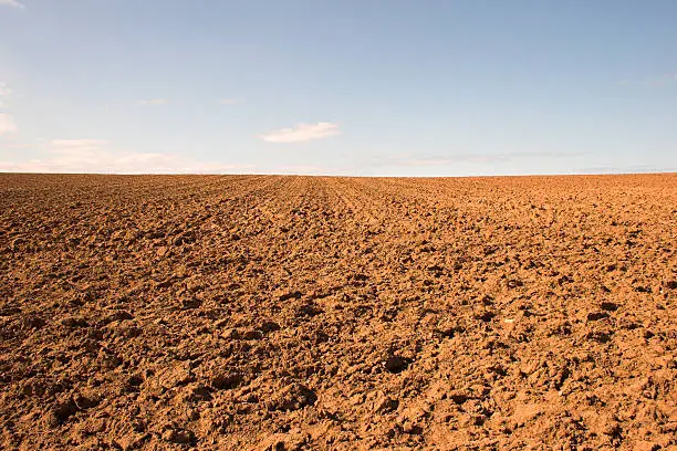 Red dry earth of a ploughed field.