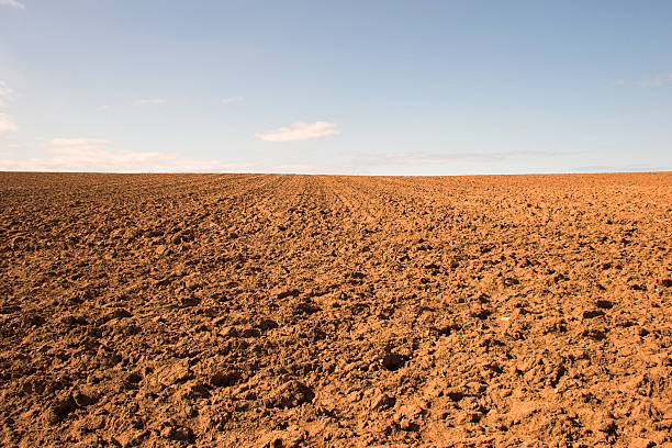 terra vermelha - dry country - fotografias e filmes do acervo