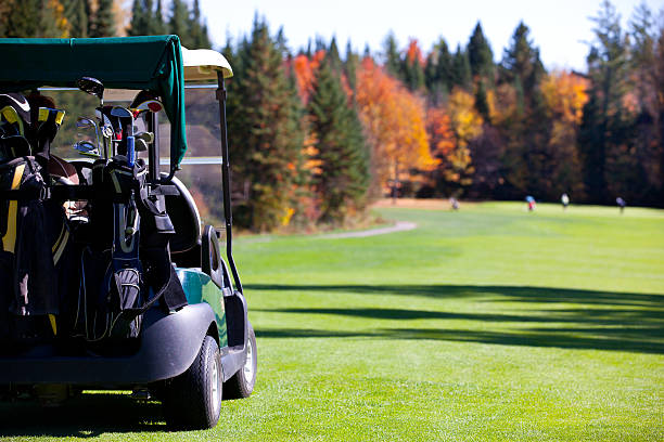 골프 선수 탑승형 in 골프 카트 다가갔다 퍼팅 그린 - golf cart golf bag horizontal outdoors 뉴스 사진 이미지