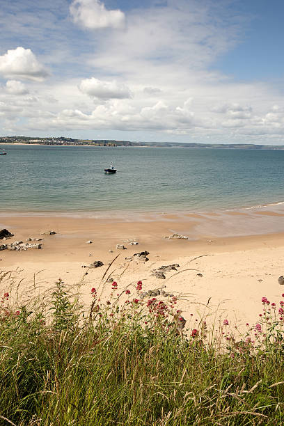 istock Beach on Caldey Island in Pembrokeshire 183292412