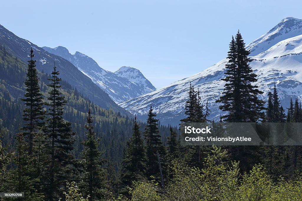 White Pass-Gebirge Skagway, Alaska - Lizenzfrei Alaska Range Stock-Foto