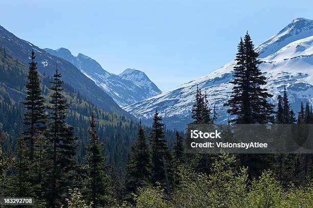 White Passgebirge Skagway Alaska Stockfoto und mehr Bilder von Alaska Range - Alaska Range, Alaska - US-Bundesstaat, Baum