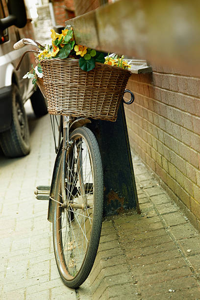 istock Bicycle with basket and flowers 183292739