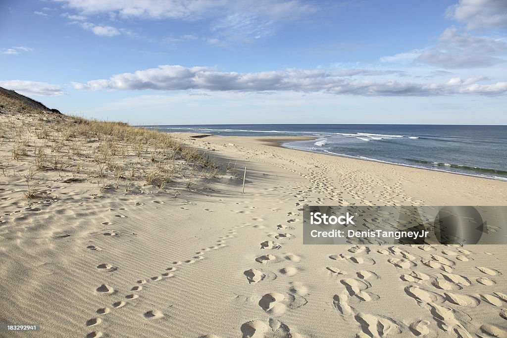 Seashore - Foto stock royalty-free di Spiaggia