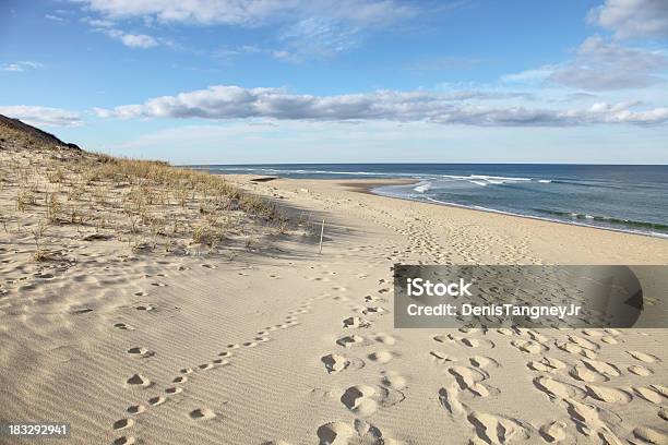 Seashore - Fotografie stock e altre immagini di Spiaggia - Spiaggia, Impronta del piede, Sabbia