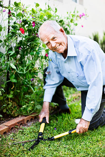 istock 80 year old man smilingly clips lawn with shears 183293239