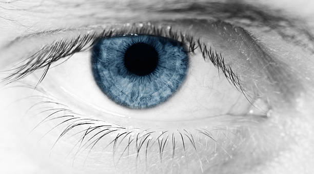 istock blue eye of a man 183293767