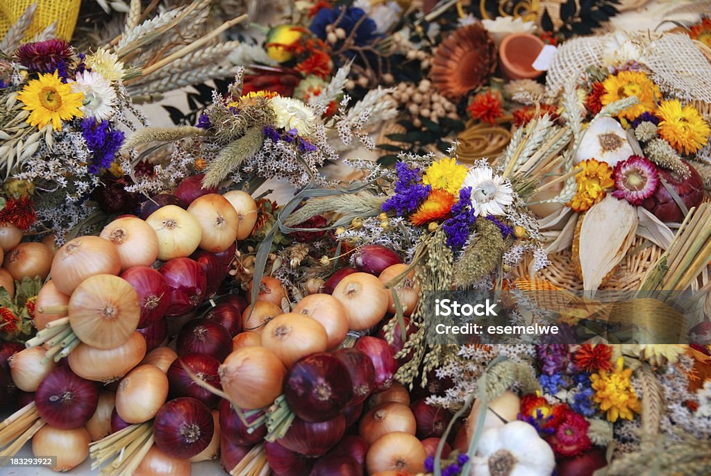 Cebolla plaits, desde el mercado tradicional, Weimar - Foto de stock de Cebolla libre de derechos