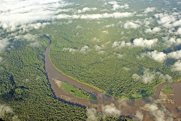 foresta pluviale vergine nella nuova guinea - river aerial view delta rainforest foto e immagini stock
