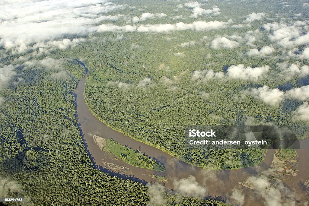 手付かずの熱帯雨林で新しいギニアビサウ - パプアニューギニアのロイヤリティフリーストックフォト