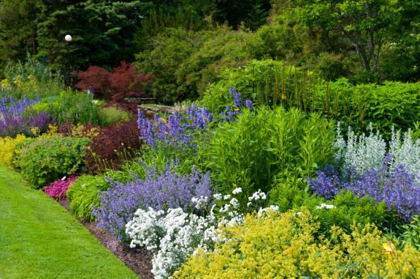 istock Flower beds and lush foliage 183295133