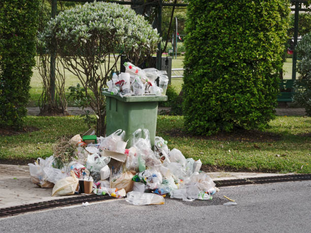 istock Waste Bin and Overflowing Garbage on Street 1832952535