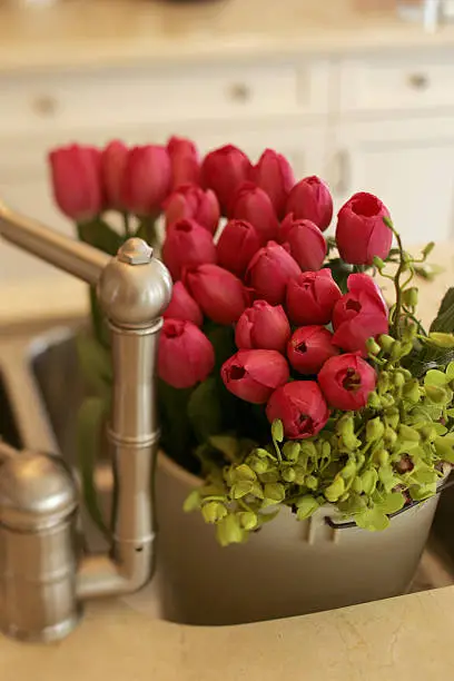 Photo of Red Tulips in the sink