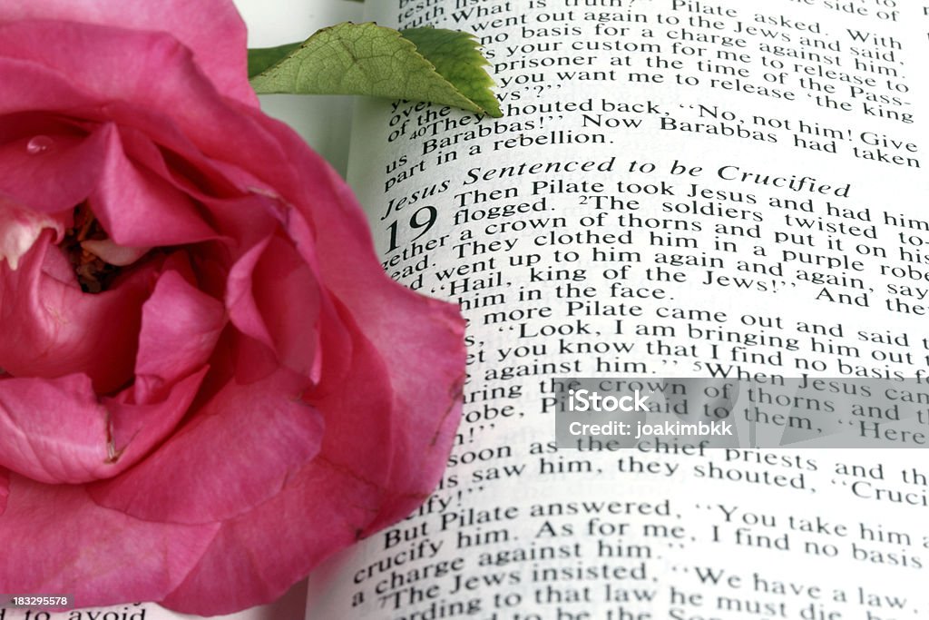 Bíblia Sagrada texto - Foto de stock de Aberto royalty-free