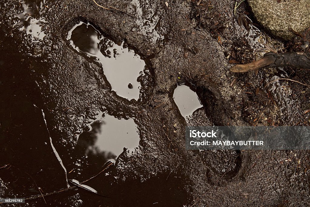 Mud Footprints in the mud. Mud Stock Photo