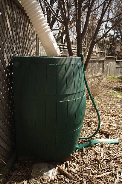 Rain Barrel stock photo