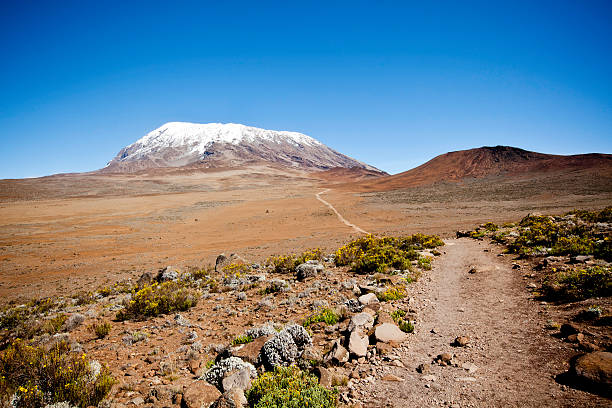 The famous melting glaciers in the Southern icefields of Mount Kilimanjaro's Kibo crater are seen in this close up taken from the Amboseli national park, Kenya