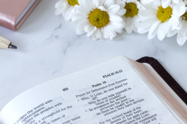 A close up of a tulip resting on a bible.
