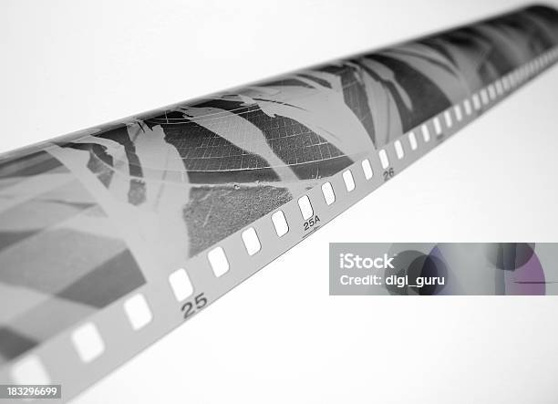 ブラックホワイトの動画ネガ - エンタメ総合のストックフォトや画像を多数ご用意 - エンタメ総合, クローズアップ, シャーカステン