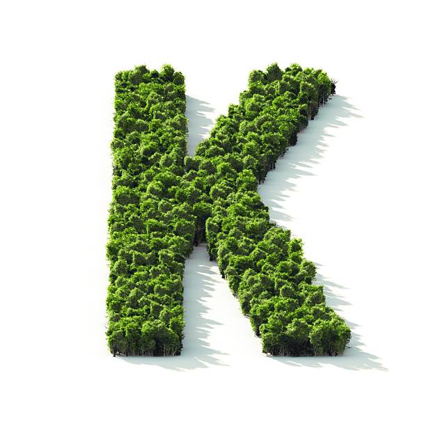 buchstabe k: perspektive blick auf - letter k alphabet three dimensional shape green stock-fotos und bilder