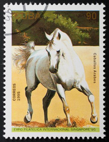 motive stamp with postmark 1995. Trotting arabian horse.different stamps with different horse breeds and other animals: