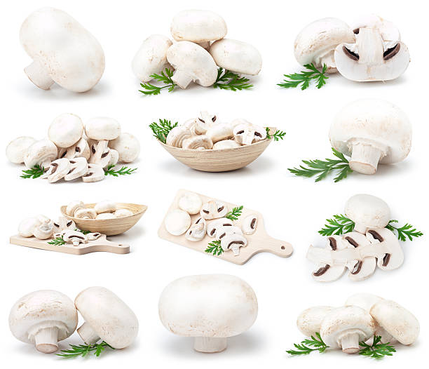 weiße pilze - champignon stock-fotos und bilder