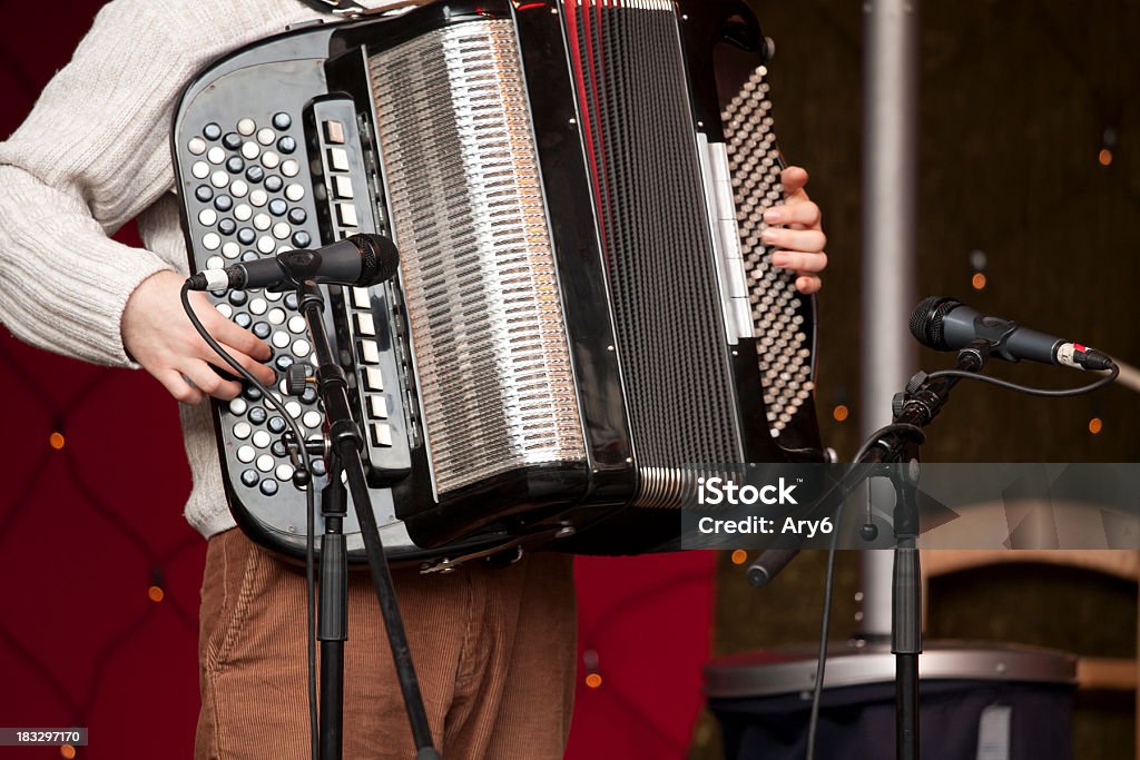 Musicista con fisarmonica - Foto stock royalty-free di Accordatore