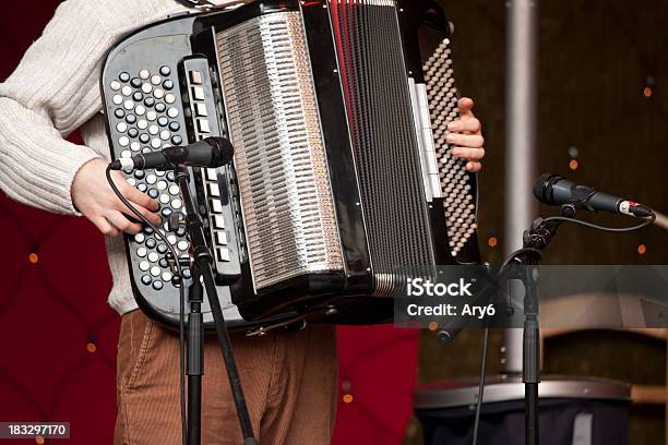 Musicista Con Fisarmonica - Fotografie stock e altre immagini di Accordatore - Accordatore, Arte, Cultura e Spettacolo, Composizione orizzontale