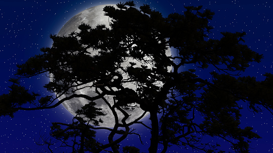 Glowing full moon with pine tree silhouette in foreground with blue sky in background