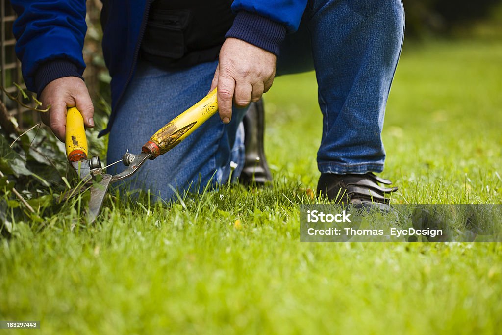 Alemán Landscaper sobre sus rodillas cortar césped - Foto de stock de Jardín privado libre de derechos