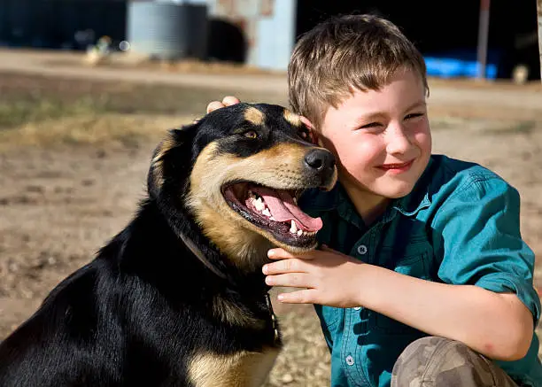 Little farmer on the land with his Kelpie sheep dog.